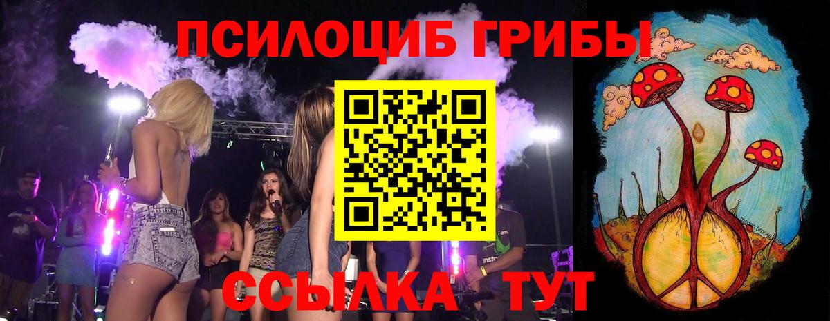 Благовещенск  Псилоцибиновые грибы Psilocybe  где найти   Вход с VPN 